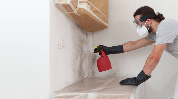 Professional Black Mold Remediation technician working in Livingston, TN
