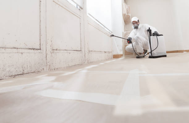 24/7 Emergency Black Mold Remediation experts in Livingston, TN